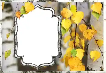 Nuotraukų efektas iš kategorijos Ruduo № 144851
