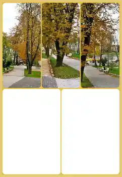 Nuotraukų efektas iš kategorijos Ruduo № 160725