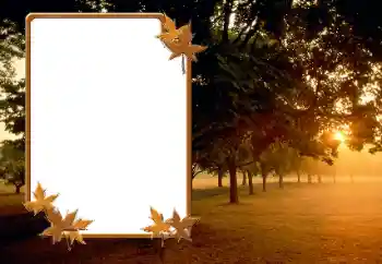 Nuotraukų efektas iš kategorijos Ruduo № 166423