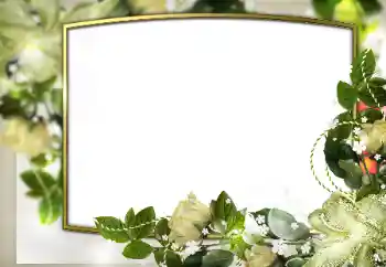 Nuotraukų efektas iš kategorijos Vestuvių rėmeliai № 169345 Nuotraukų efektas iš kategorijos Vestuvių rėmeliai № 169345