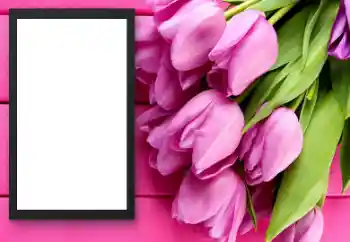Nuotraukų efektas iš kategorijos Moteriški fotorėmeliai № 206179 Nuotraukų efektas iš kategorijos Moteriški fotorėmeliai № 206179