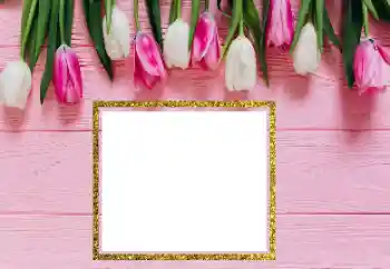 Nuotraukų efektas iš kategorijos Moteriški fotorėmeliai № 206181 Nuotraukų efektas iš kategorijos Moteriški fotorėmeliai № 206181