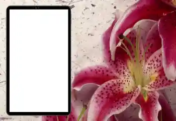 Nuotraukų efektas iš kategorijos Moteriški fotorėmeliai № 206184 Nuotraukų efektas iš kategorijos Moteriški fotorėmeliai № 206184